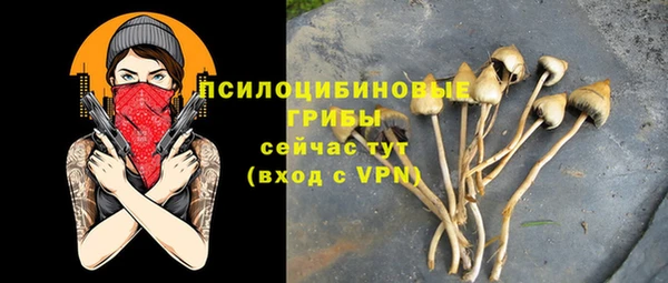 бутират Верея