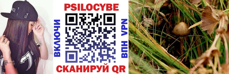 Псилоцибиновые грибы GOLDEN TEACHER  сайты даркнета Telegram  Городец 